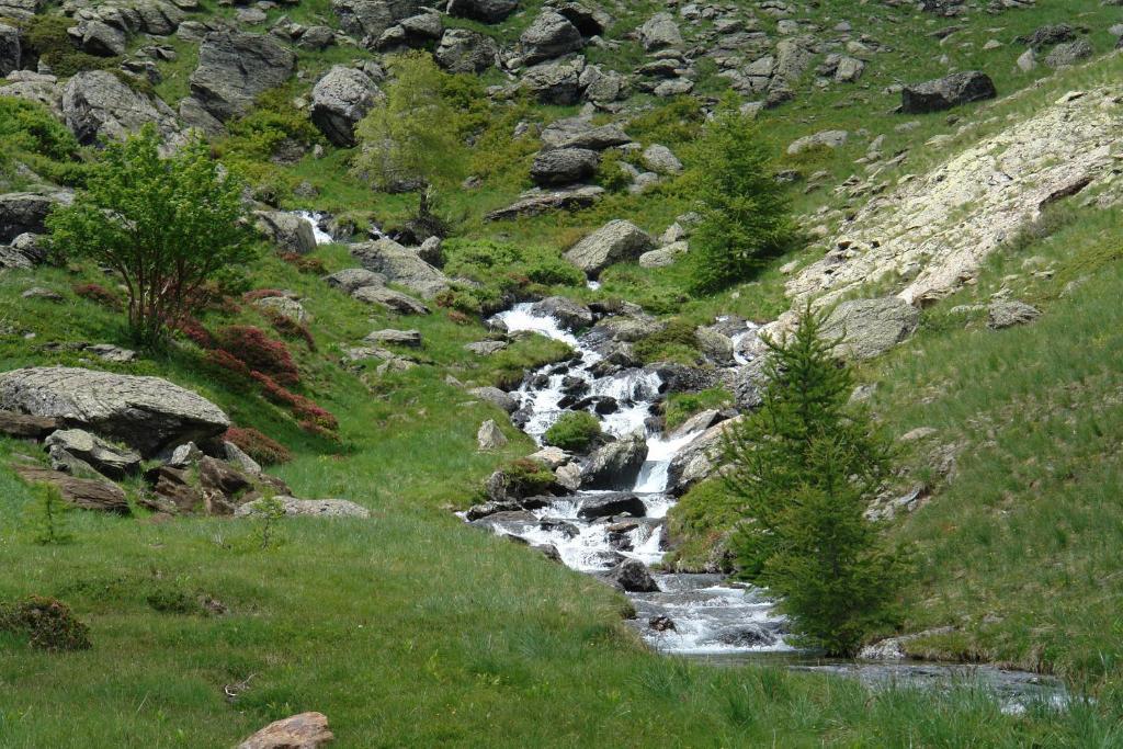 Le Relais Des Vaudois Hotell Freissinieres Eksteriør bilde